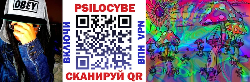 Псилоцибиновые грибы Psilocybine cubensis  Олонец 