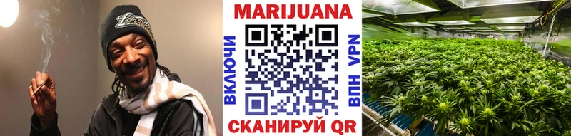 сколько стоит Олонец мега вход Бошки Шишки тримм